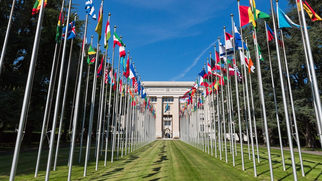 Teaserbild Multilateraes und NGO