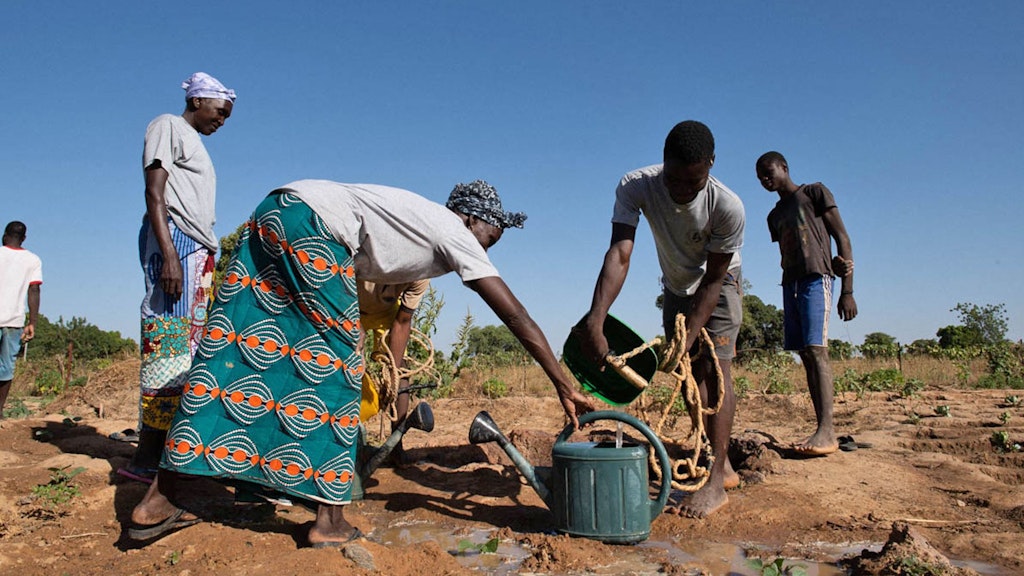 Plusieurs personnes travaillent dans un champ. Un homme verse de l’eau d’un seau dans un arrosoir.