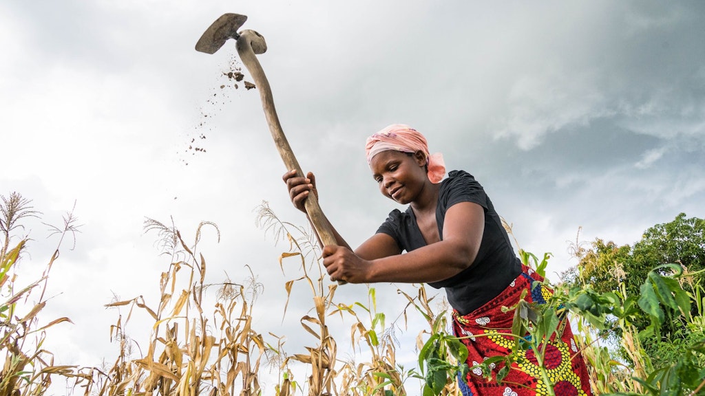 Une paysanne travaille dans un champ cultivé. Dans ses mains, elle tient un outil. Un peu de terre vole dans l’air.