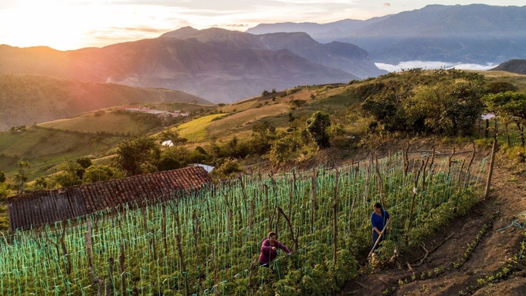 Deux femmes cultivent la terre dans un champ agricole niché au cœur des Andes, en Équateur, entourées de montagnes.