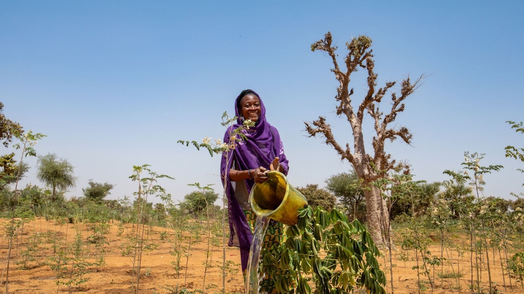 Une jeune femme vide un seau rempli d'eau.