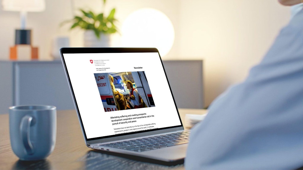 A person reading the SDC’s newsletter on a laptop.