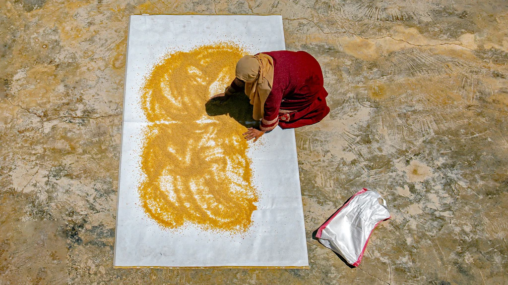 Overhead view of a woman spreading grain on a white sheet to dry on a concrete surface.