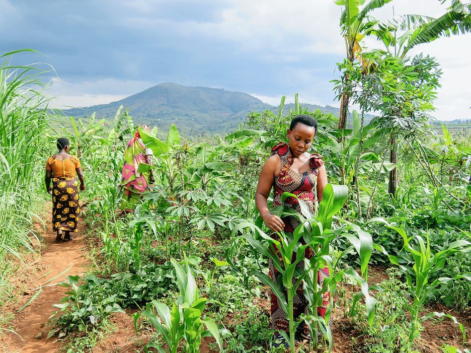 Anita, Überlebende von häuslicher Gewalt, hat ihr Leben nach und nach wieder aufgebaut und ist zu einem Beispiel für die veränderten Zustände auf dem Gahaga-Hügel im Nordwesten Burundis geworden. 