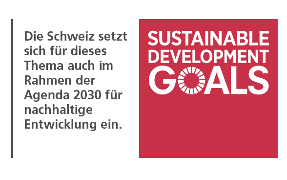 Logo Sustainable Development Goals