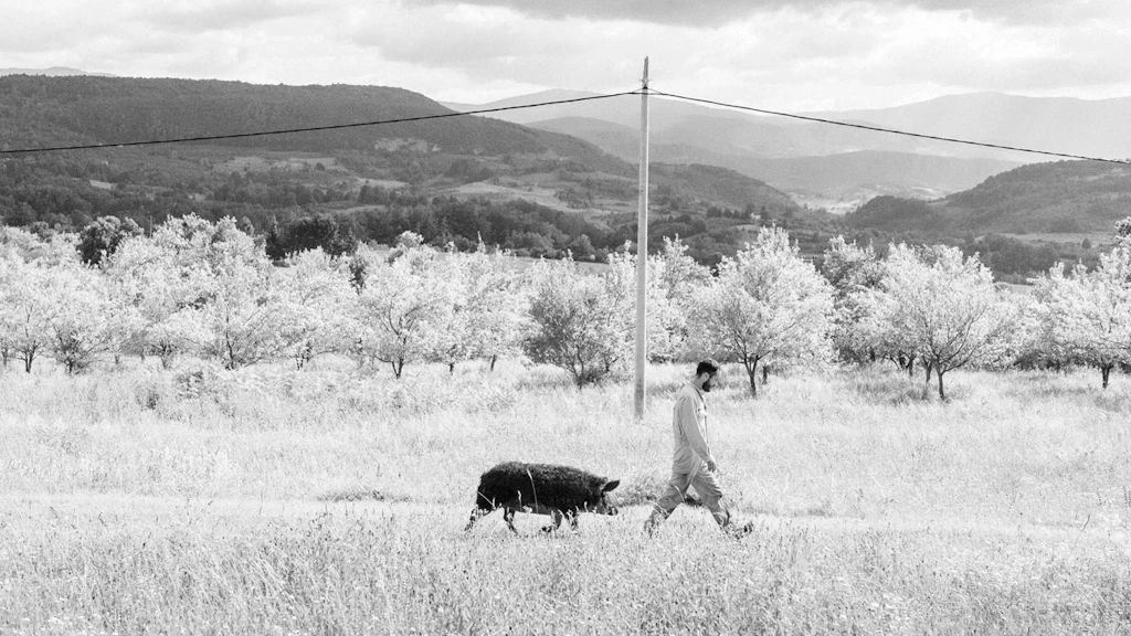 Mann wandert gefolgt von einem Trüffelschwein durch eine Buschlandschaft.