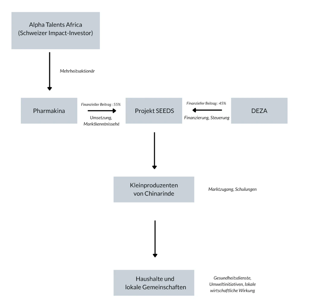 Die Grafik zeigt, wie DEZA, Pharmakina und AlphaTalents Africa mit dem SEEDS-Projekt verbunden sind und wie Produzierende und lokale Gemeinschaften davon profitieren.