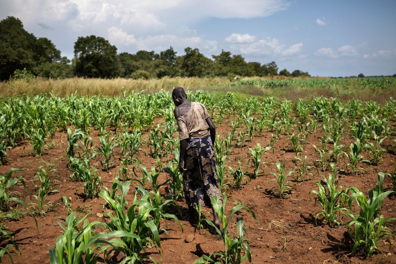 Obwohl sich 162 Staaten völkerrechtlich verpflichtet haben, das Menschenrecht auf Nahrung zu achten, zu schützen und zu gewährleisten, hungern mehr als 800 Millionen Menschen – viele davon, weil sie keinen Zugang zu Land und Wasser haben.