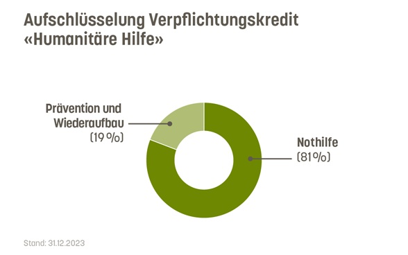 81% des Verpflichtungskredits Humanitäre Hilfe sind für die Nothilfe bestimmt. 19% für Prävention und Wiederaufbau.