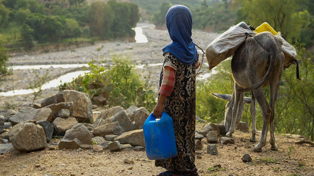 A young girl is standing at the top of a valley with a bucket of water in her hand. We see her back.