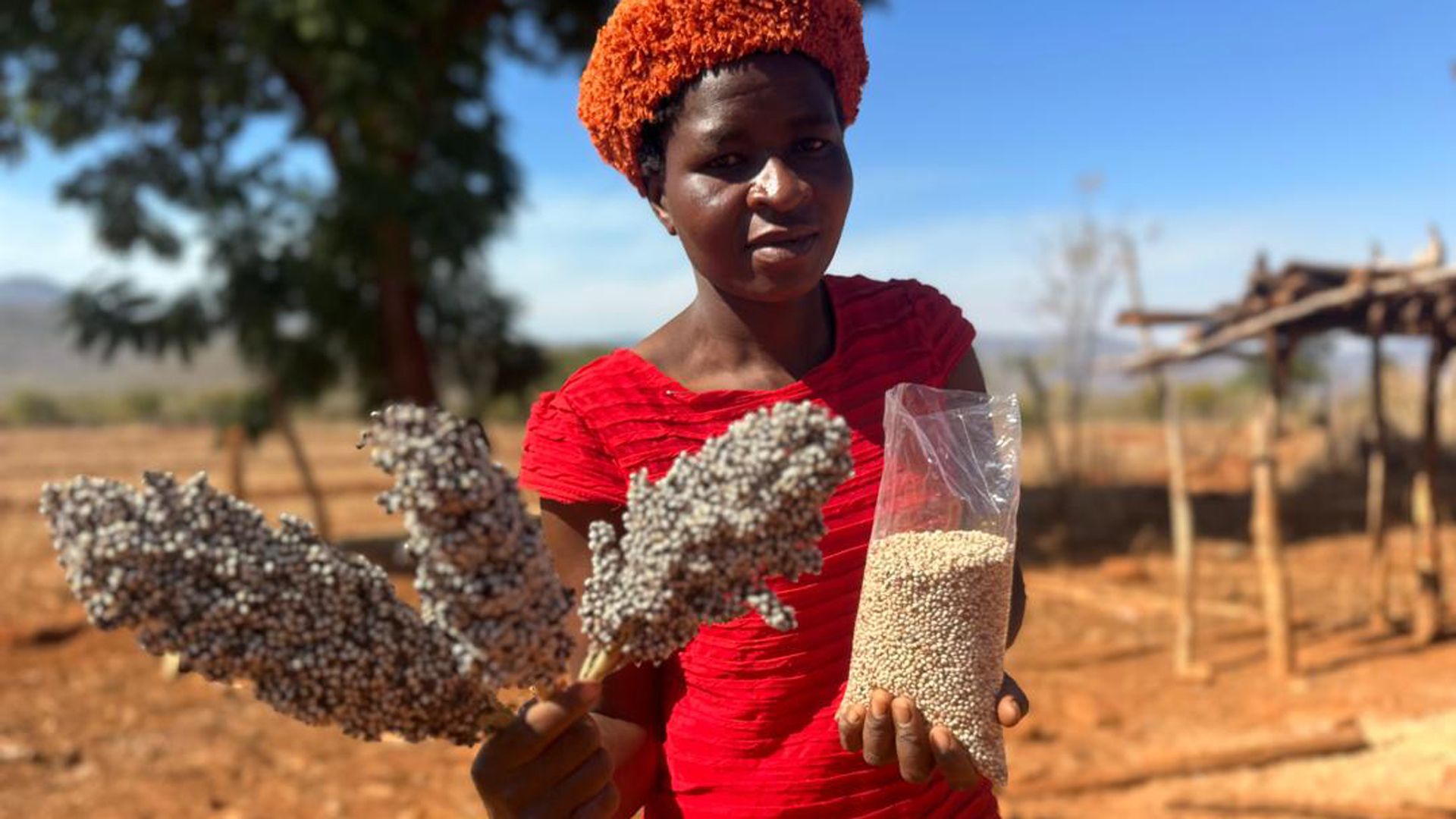 A person in a red dress and headwrap holds a cluster of grains and a bag of seeds, standing outdoors on a dry, rural landscape with trees in the background.