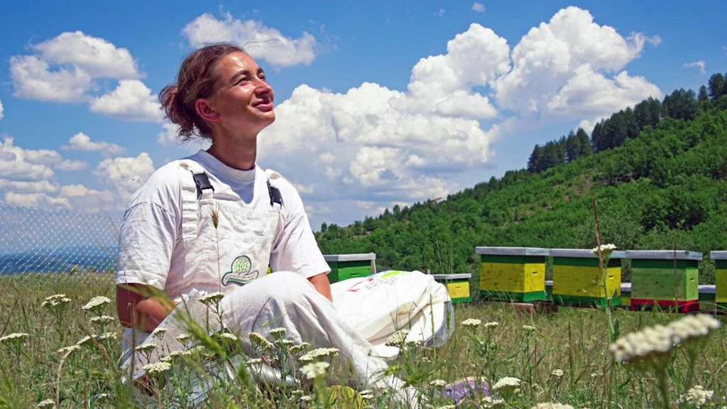 A woman, member of the Honey East Association, is sitting in the grass in front of beehives.