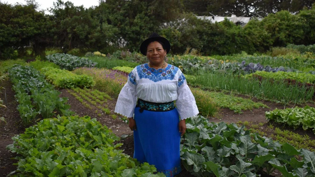 Erlinda Pillajo stands in her field in Ecuador.