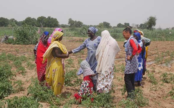Patricia Danzi meets women in a harvest field.