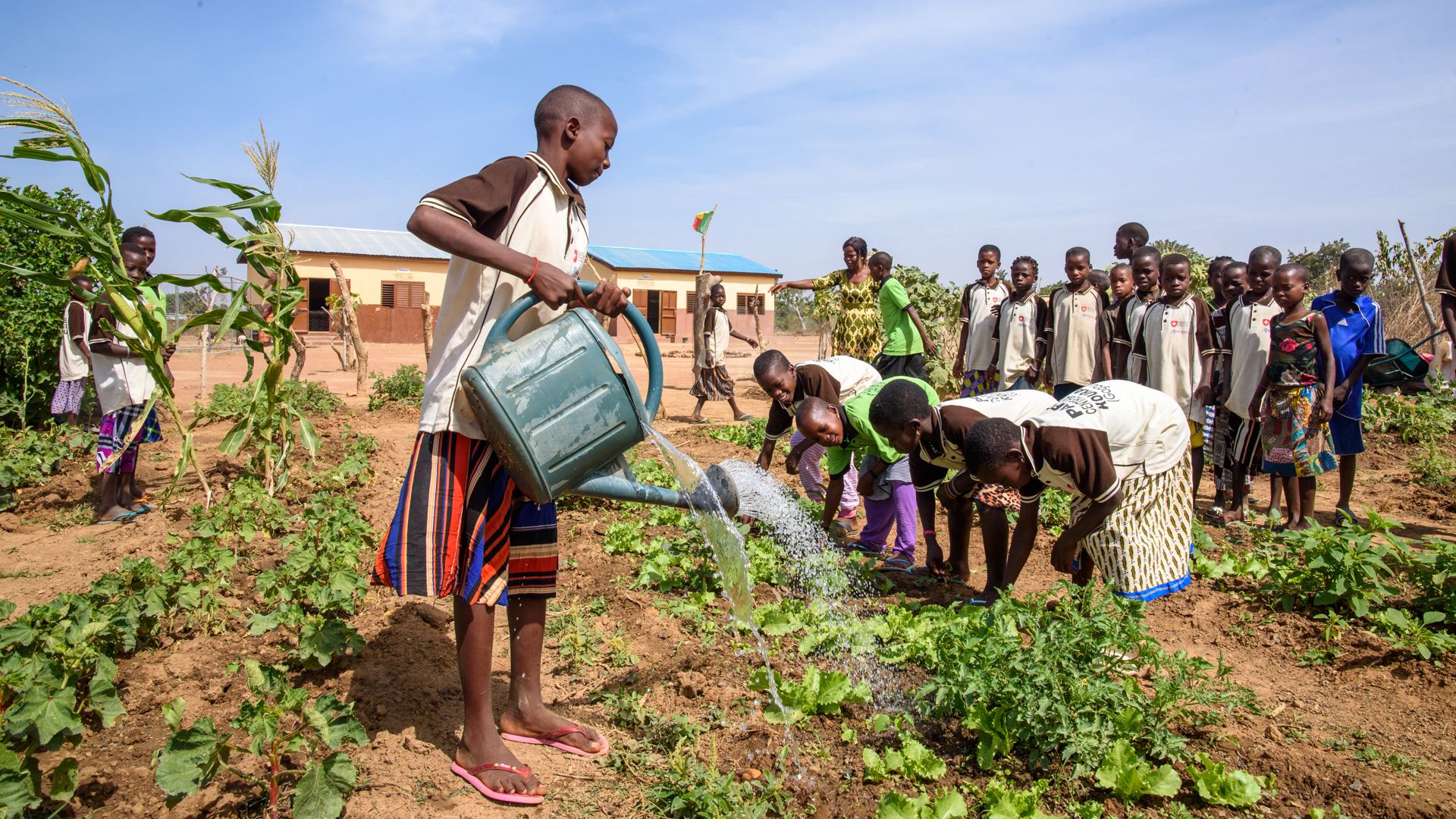 A group of children in a garden. A boy is watering the plants with a watering can.