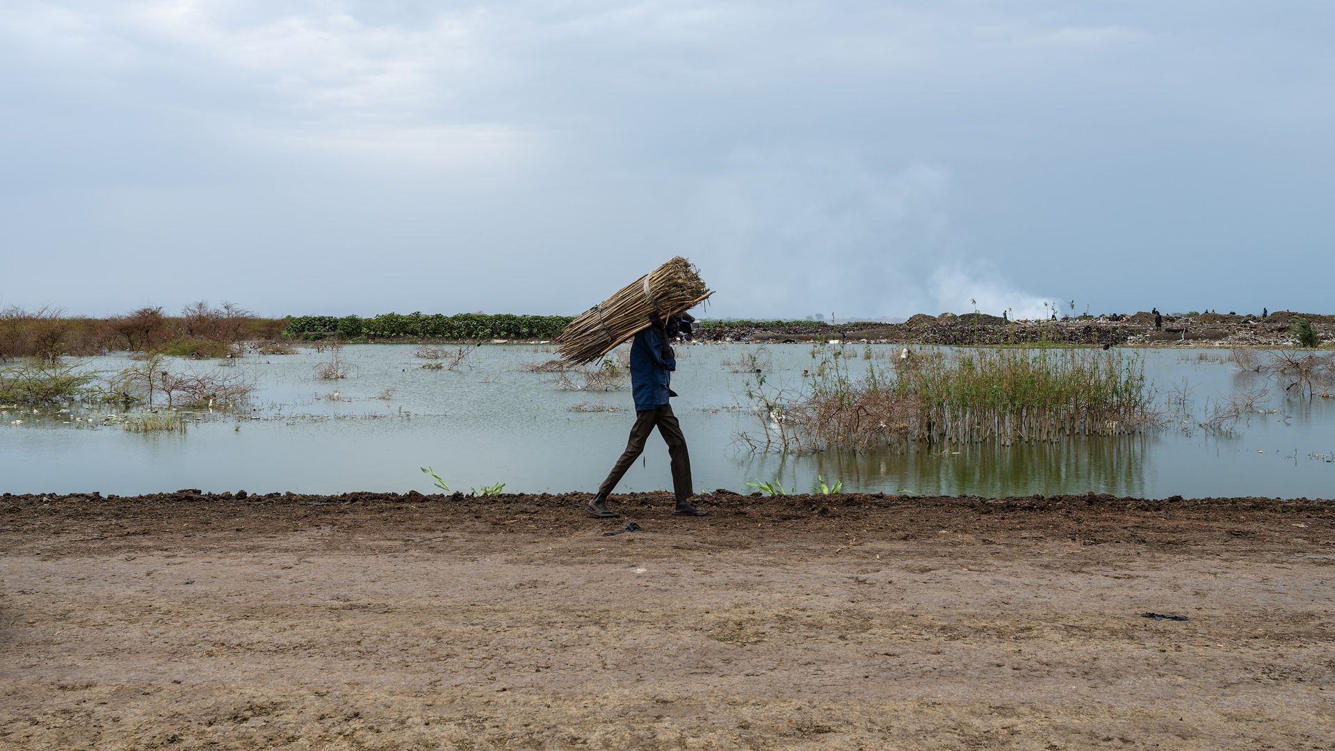 A man from South Sudan carries wood on his shoulders and walks past flooded land.