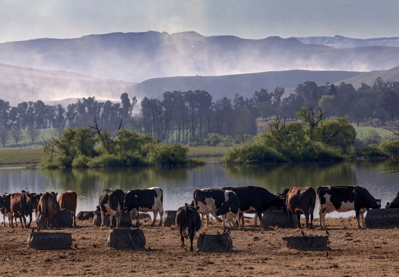Sustainable grazing, as seen here on the Umzimvubu River in South Africa, conserves biodiversity.