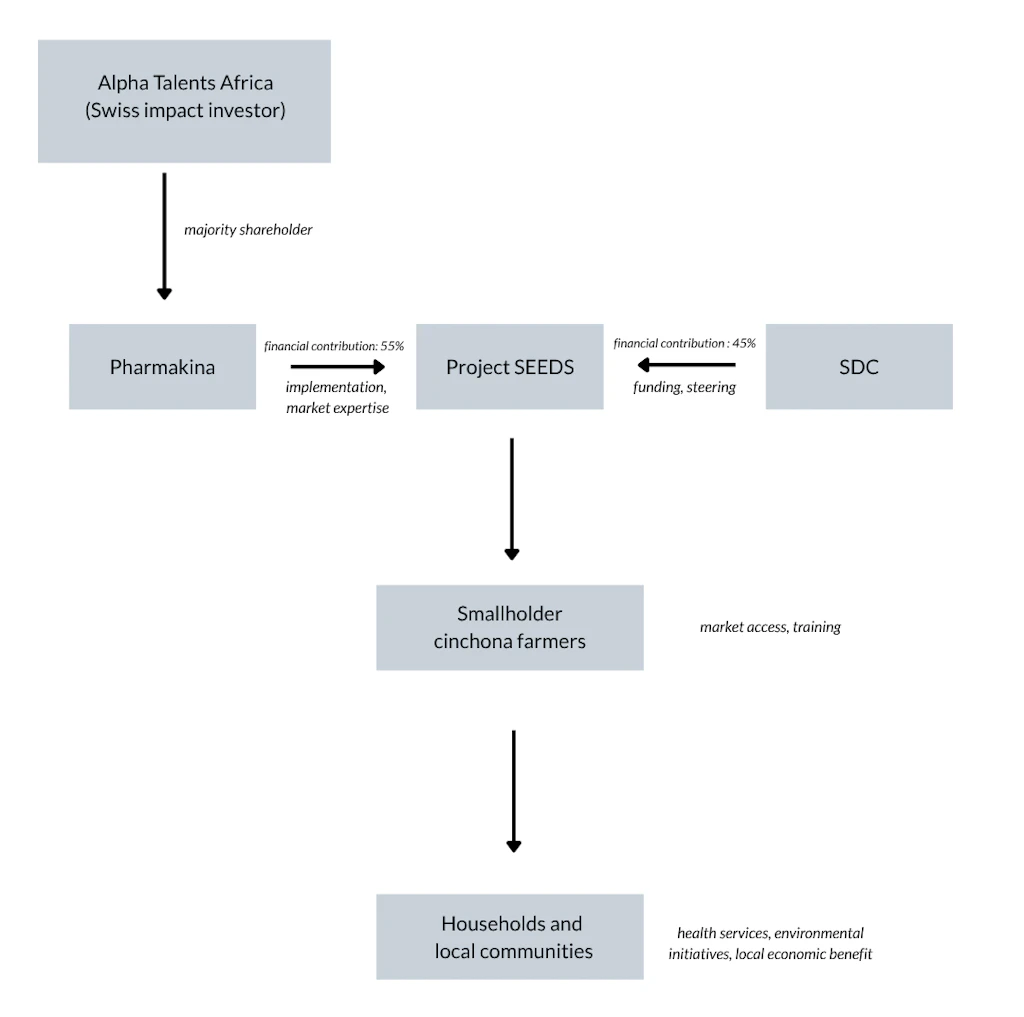 The diagram shows how SDC, Pharmakina and AlphaTalents Africa are linked to the SEEDS project and how local farmers and communities benefit from it.