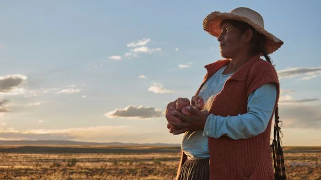 Bolivian farmer holds potatoes in her hands.