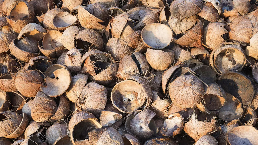 Dozens of coconut shells strewn on the ground.