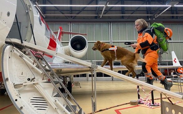 A woman walking up a ramp to board an aircraft with her dog.