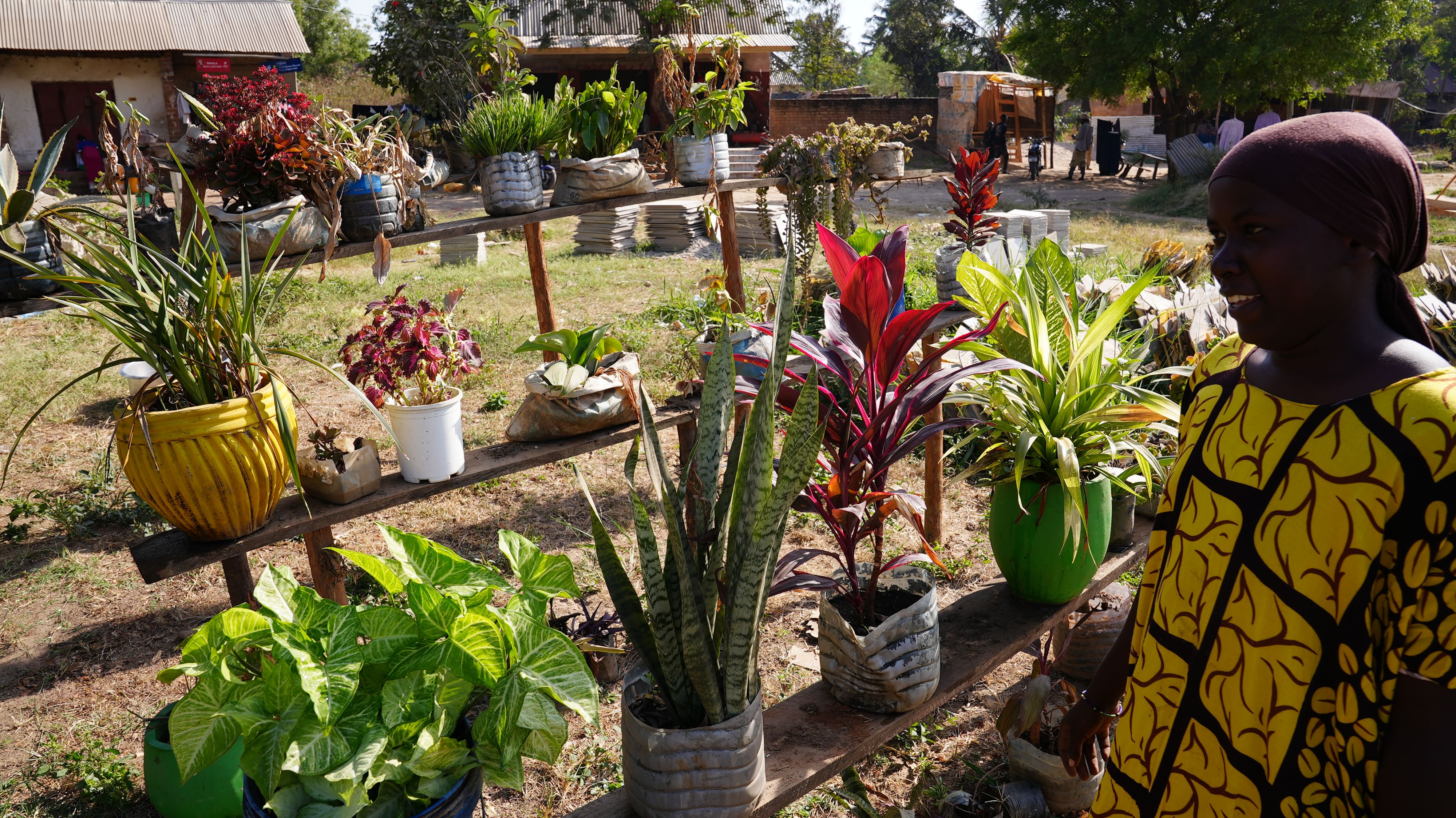 Une femme se tient à droite, souriante, à côté de diverses plantes disposées sur des planches, à raison d’environ huit plantes par planche.