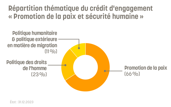 66% du crédit d'engagement « Promotion de la paix et sécurité humaine » vont à la promotion de la paix. 23% à la politique des droits de l'homme et 11% à la politique humanitaire et migratoire.