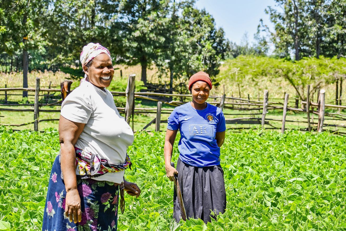 Deux agricultrices de la coopérative Ushirikiano au Kenya: grâce à de nouvelles variétés de haricots, plus nutritives et plus résistantes, leurs moyens de subsistance se sont nettement améliorés.