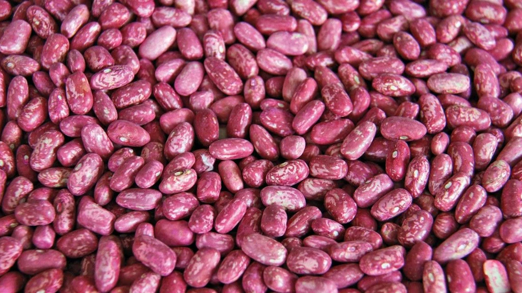 Gros plan sur des haricots veinés de rouge.