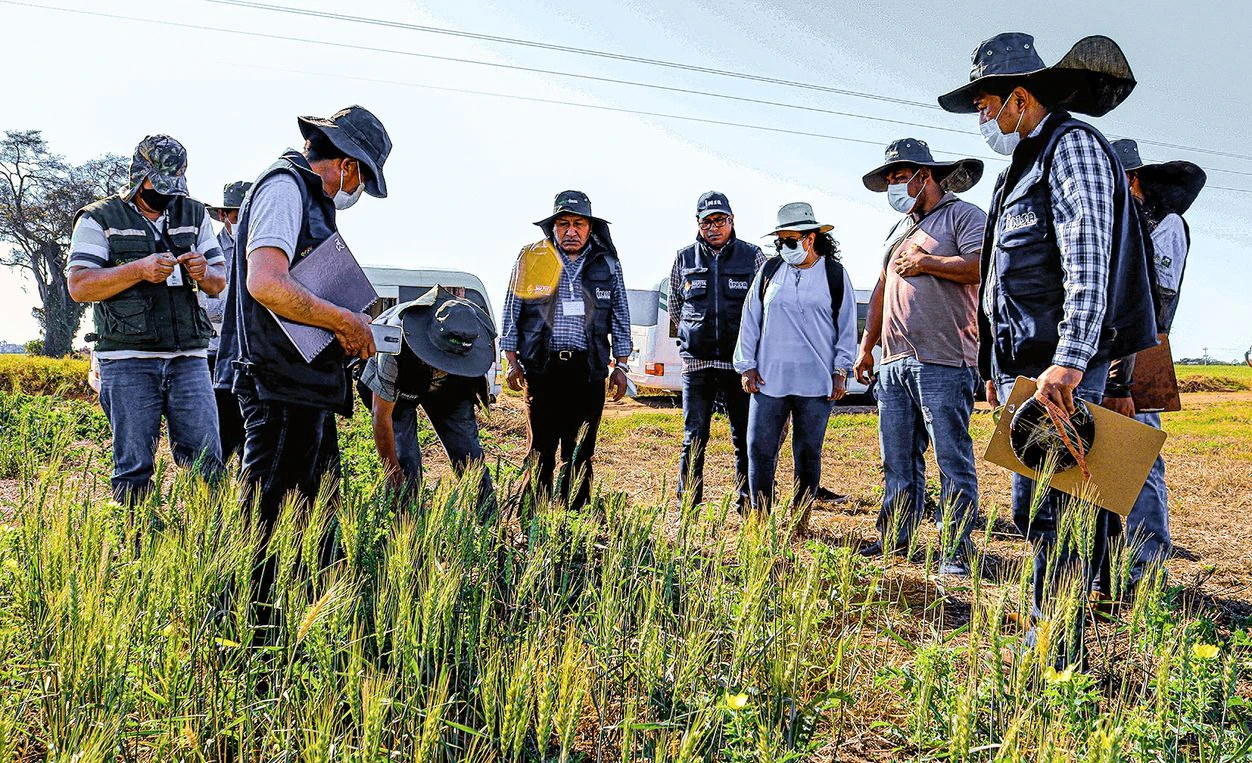 Des cours de formation agricole sont également proposés, ici sur la culture du blé.