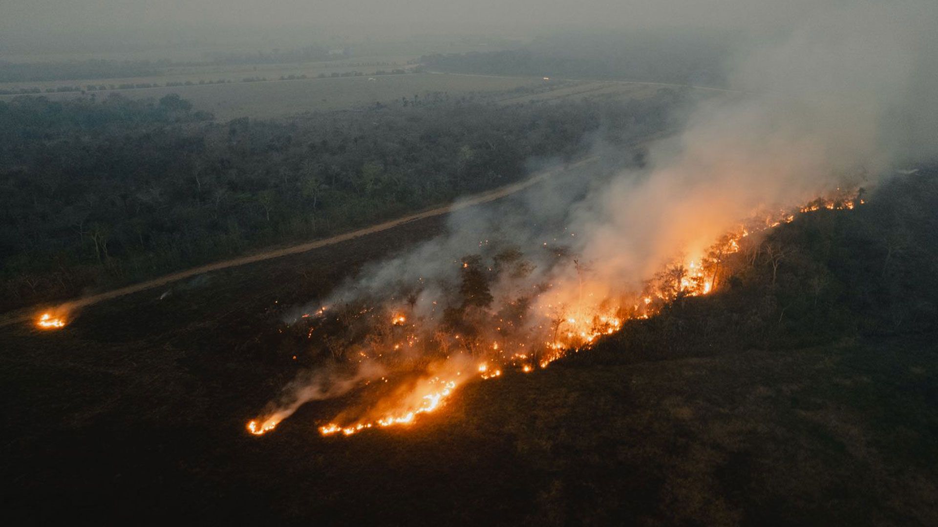 Vue aérienne des incendies.