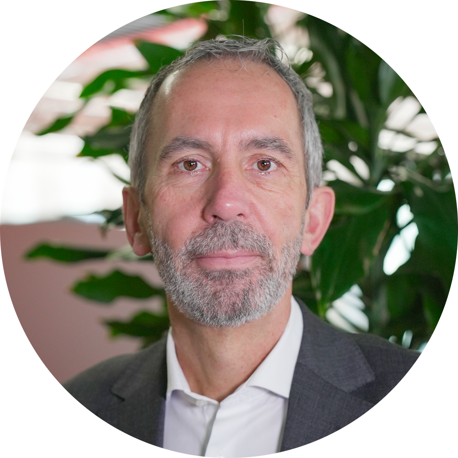 Portrait Dominik Stillhart © DDC