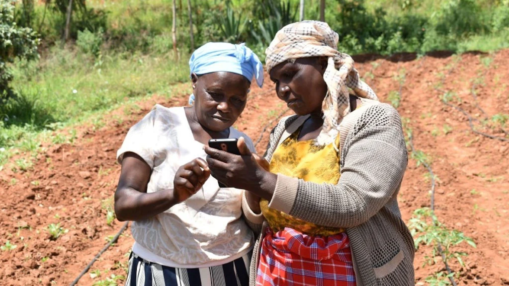 Deux femmes consultent un smartphone dans un champ.