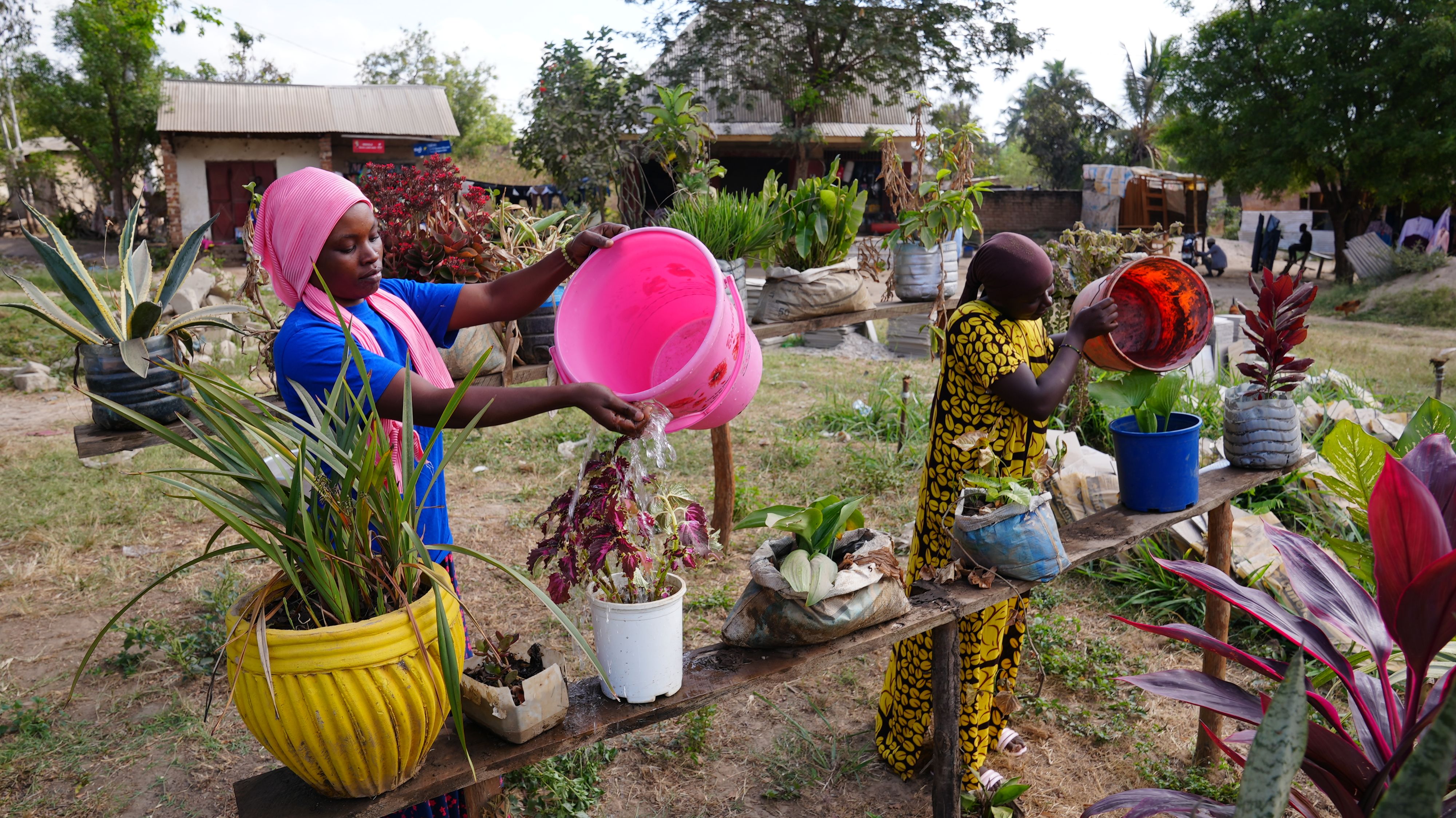 Deux femmes utilisent des seaux pour arroser des plantes placées dans des conteneurs sur une planche.