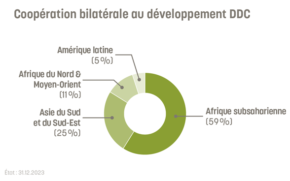 59% de la coopération bilatérale au développement de la DDC est allée à l'Afrique subsaharienne, 25 à l'Asie, 11% à l'Afrique du Nord et au Moyen-Orient et 5% à l'Amérique latine.