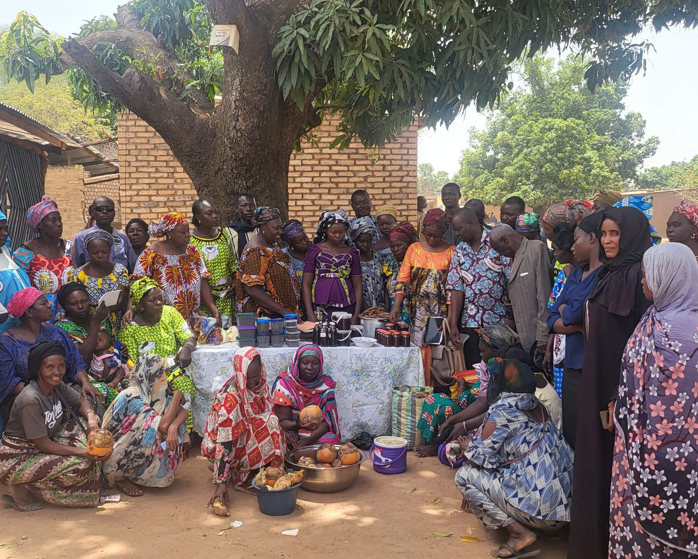 Des hommes et des femmes se tiennent sous un arbre, autour d'une table où sont disposés des produits forestiers non ligneux tels que du tamarin, du néré et du miel.