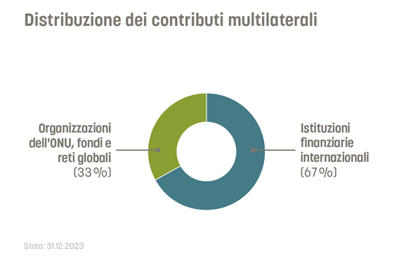 Il 33% dei contributi multilaterali va alle organizzazioni delle Nazioni Unite e ai fondi e alle reti globali. Il 67% va alle istituzioni finanziarie internazionali.