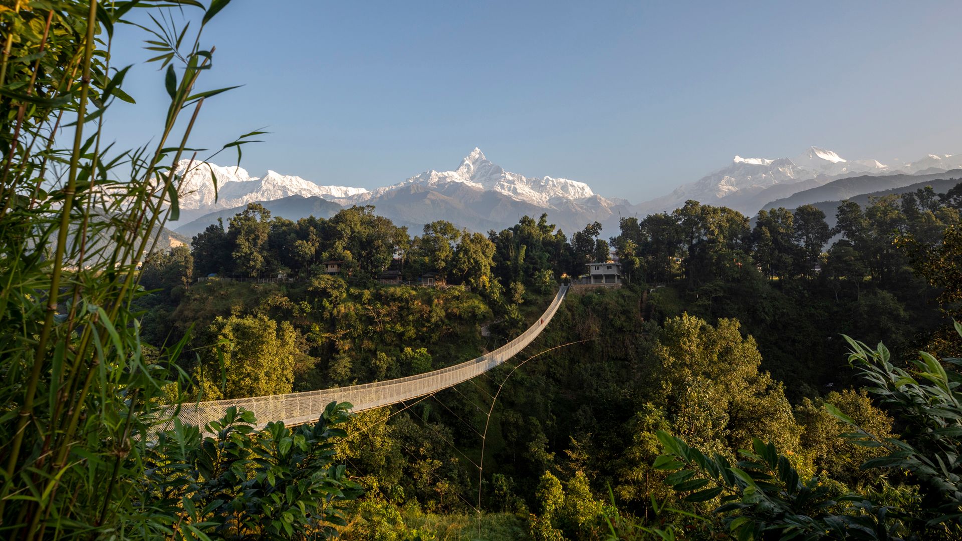 Un ponte sospeso attraversa una valle lussureggiante con montagne innevate sullo sfondo, sotto un cielo azzurro e limpido, circondato da una fitta vegetazione.