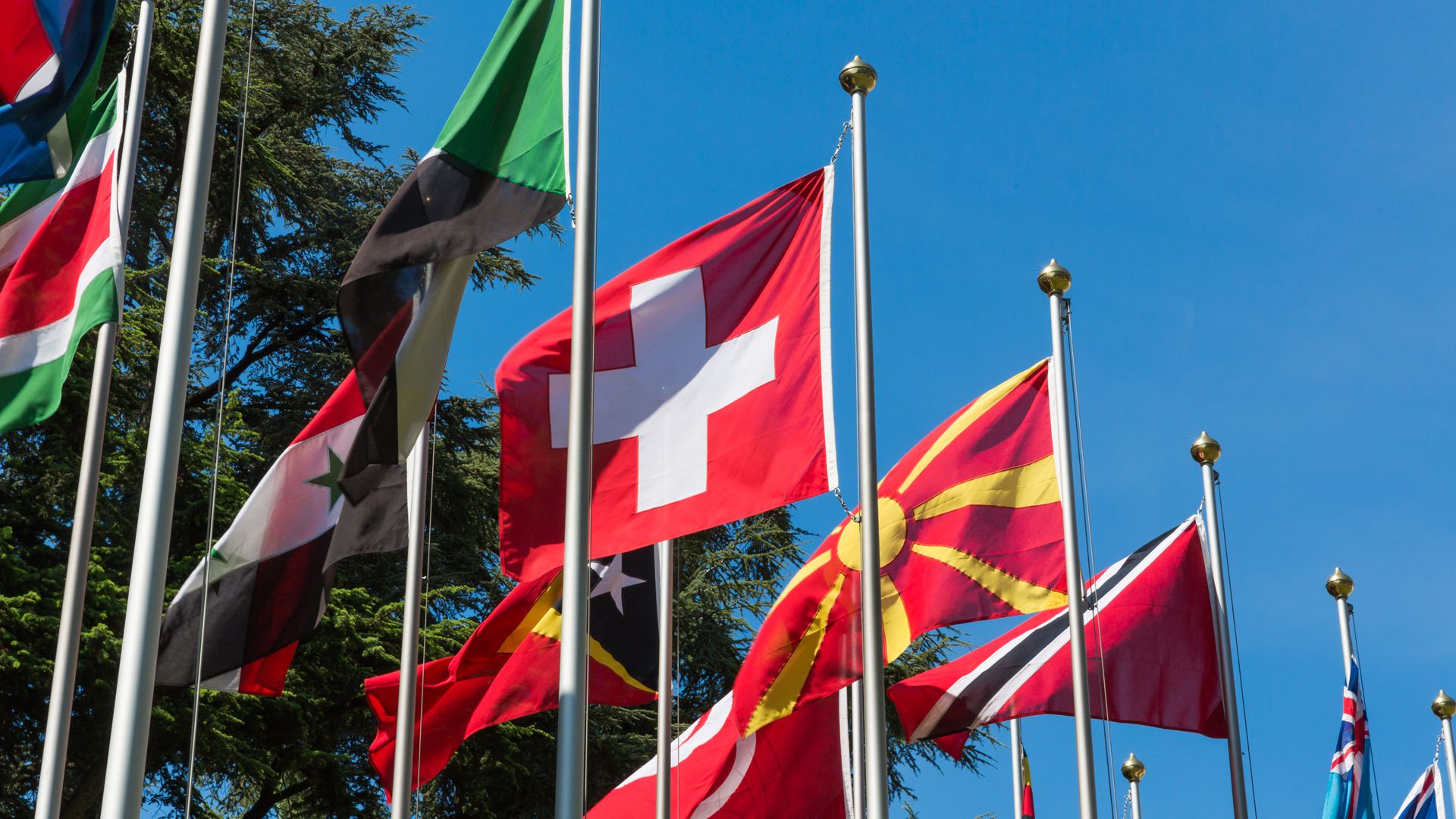 Bandiera svizzera circondata da bandiere di altri Paesi.