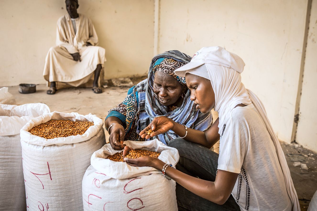 Aisha Sow, collaboratrice in una cooperativa agricola, controlla la qualità del raccolto di una contadina in Senegal. Coltivare fagioli e non solo patate promuve la biodiversità e l'alimentazione sana.