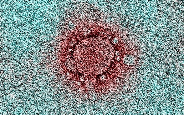 Coronavirus