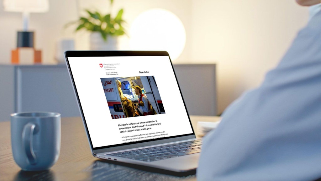 Una persona che legge la newsletter della DSC sul proprio laptop.