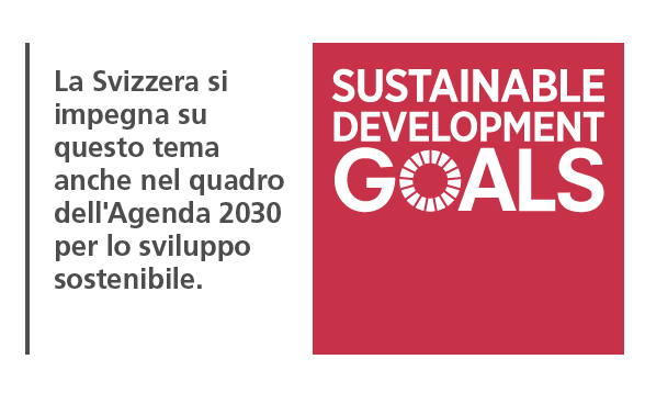 Logo Sustainable Development Goals