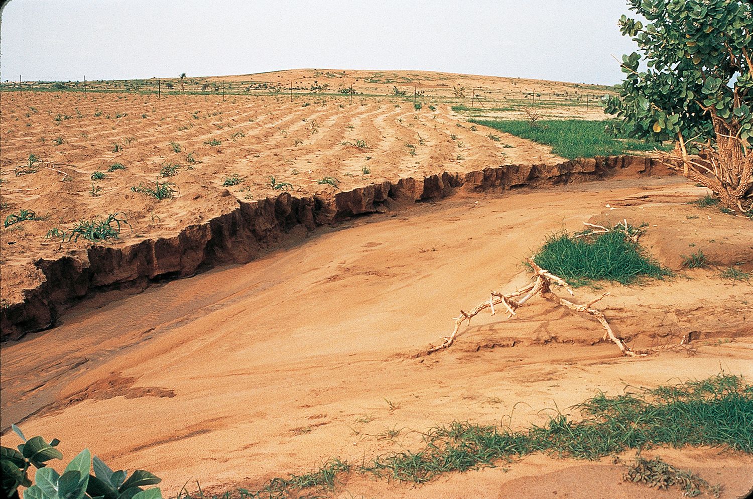 Le tendenze internazionali, come la protezione dell'ambiente, hanno avuto un impatto duraturo sulla cooperazione internazionale della Svizzera. 