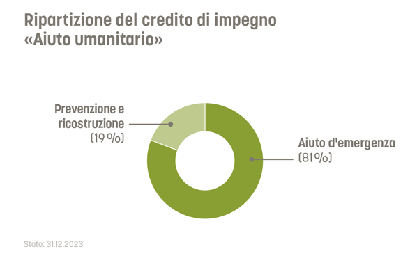 L'81% del credito d'impegno per gli aiuti umanitari è destinato agli aiuti d'emergenza. Il 19% alla prevenzione e alla ricostruzione.