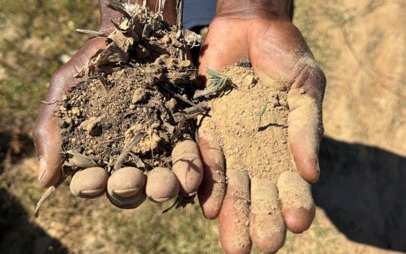 Due mani tese contenenti della terra, umida nella destra e secca nella sinistra.