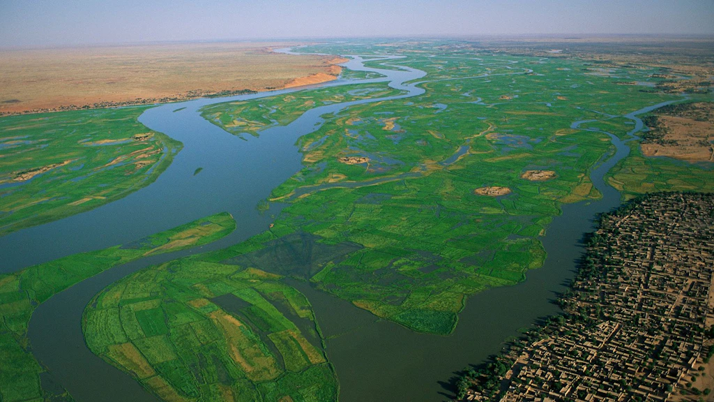 Risaie nei pressi del fiume Niger in Mali.
