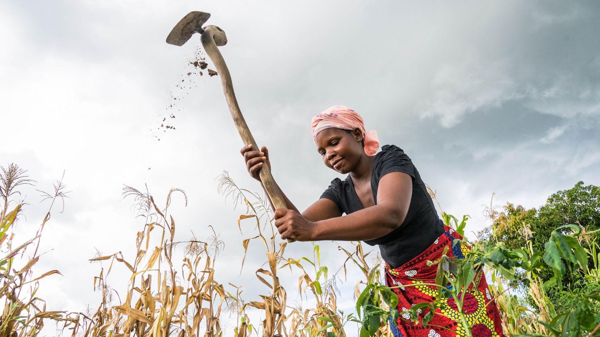 Un’agricoltrice lavora in un campo coltivato. Tiene in mano un attrezzo. Un po’ di terra vola nell’aria.